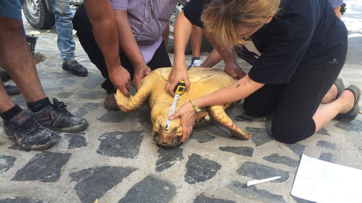 14238303_1157323900980632_8128804650244620762_n_77527700