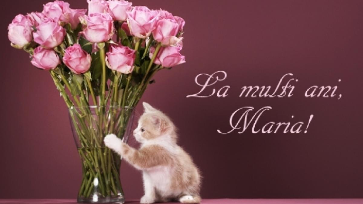 mesaje_sf__maria__mesaje_prc_c8prc_98i_urari_de_sfanta_maria__15_august_48810800_18026600