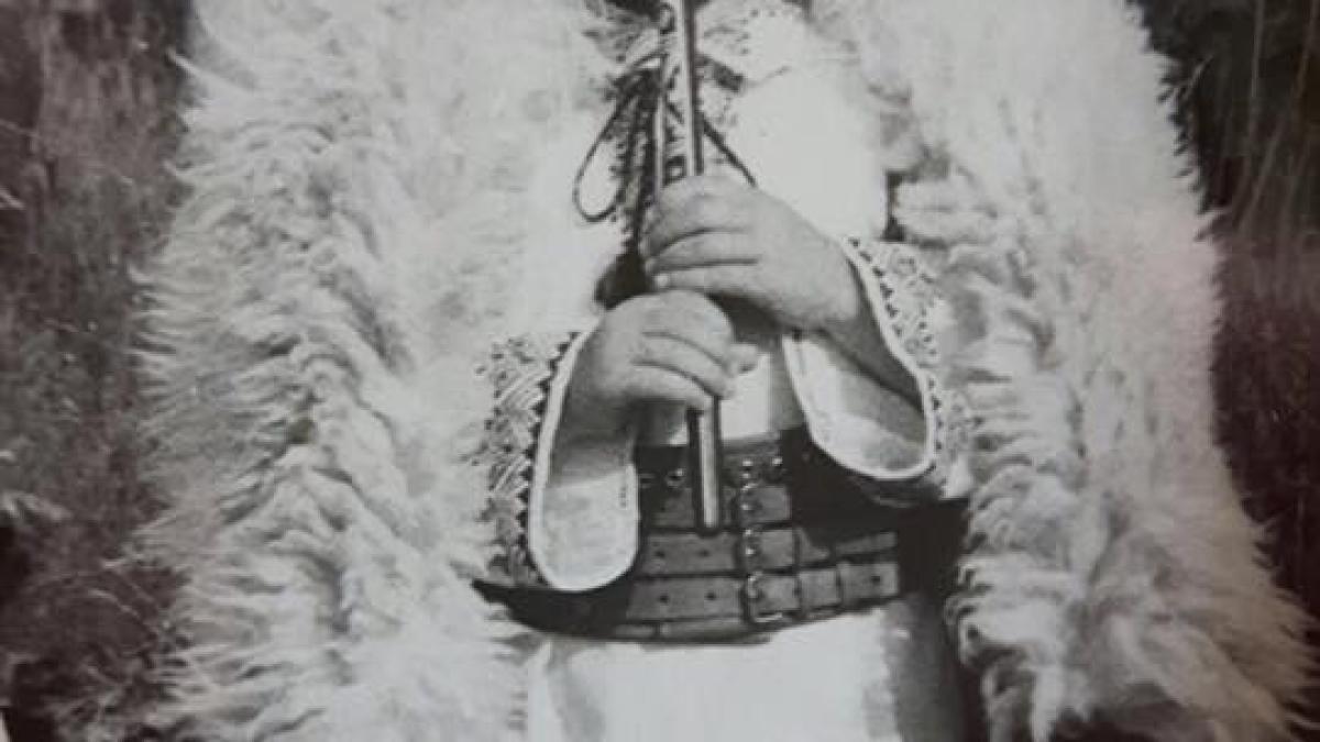 rares_bogdan_24238600