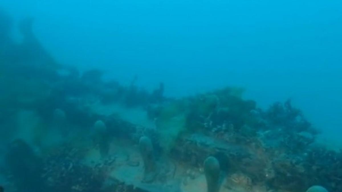 620_57857400_92287800