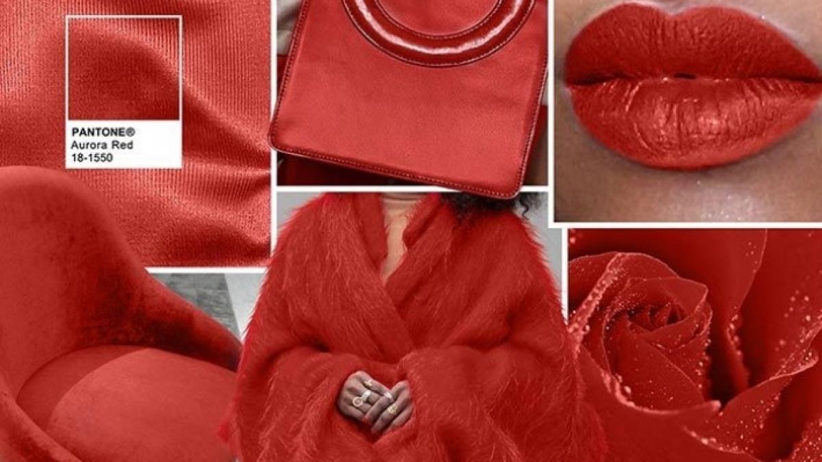 culori_82561900_22766600