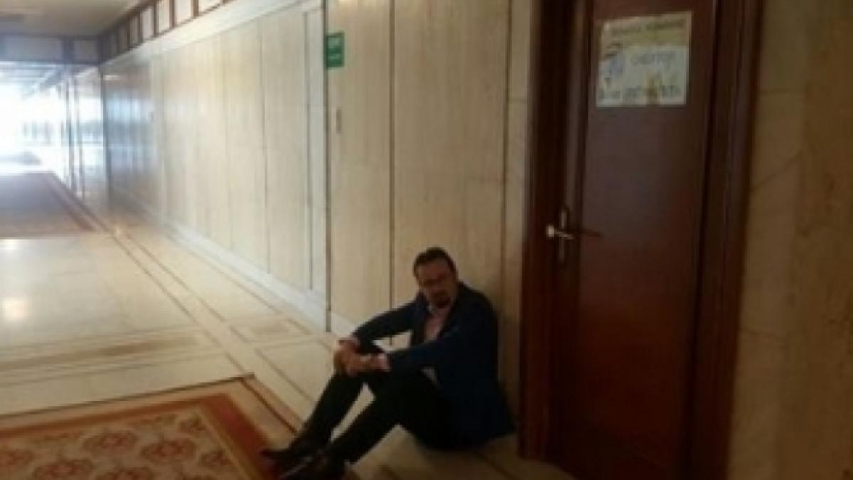 bodea_senat_50519000_42815500_46529400_89530600