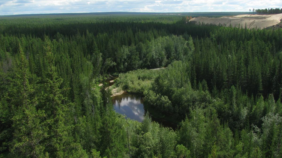 436114ac4162cfc09483fa240fcf89ba_38333100