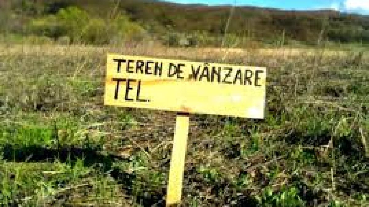 teren_vanzare_29751200