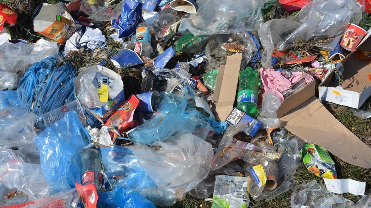 14457491_1260232860665382_7632314385332320425_n_48631300