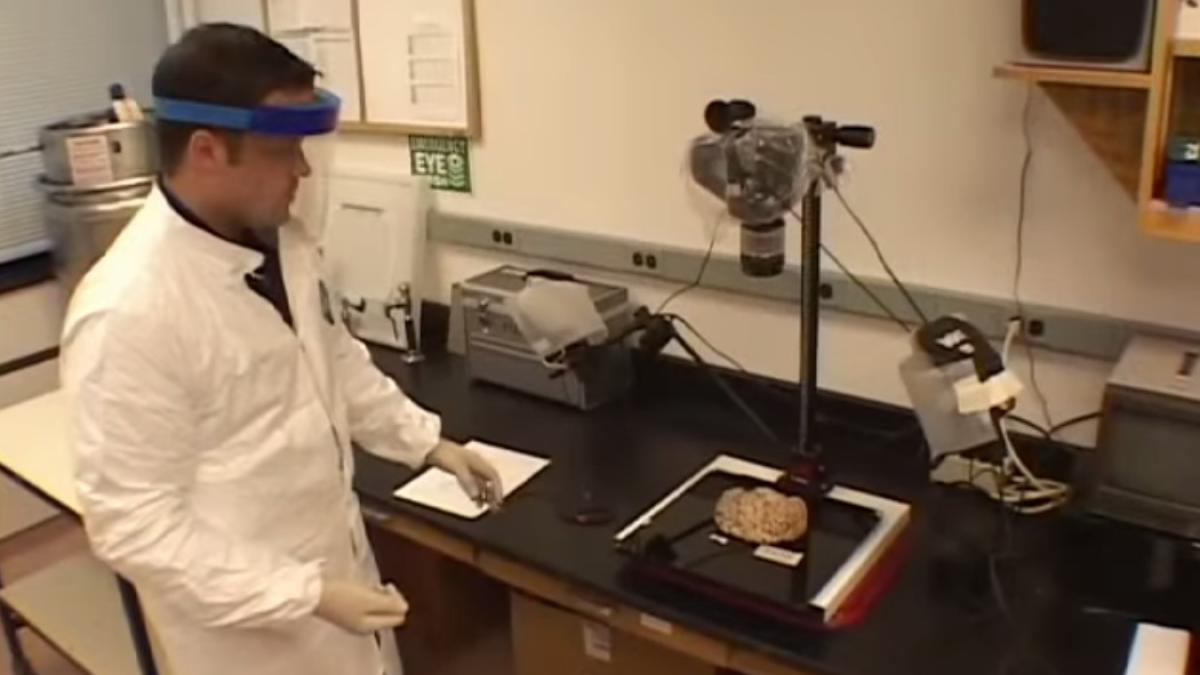 banca_de_creiere_97986500