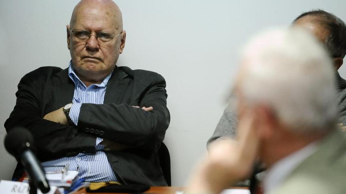 razvan_theodorescu_fiu_24693200