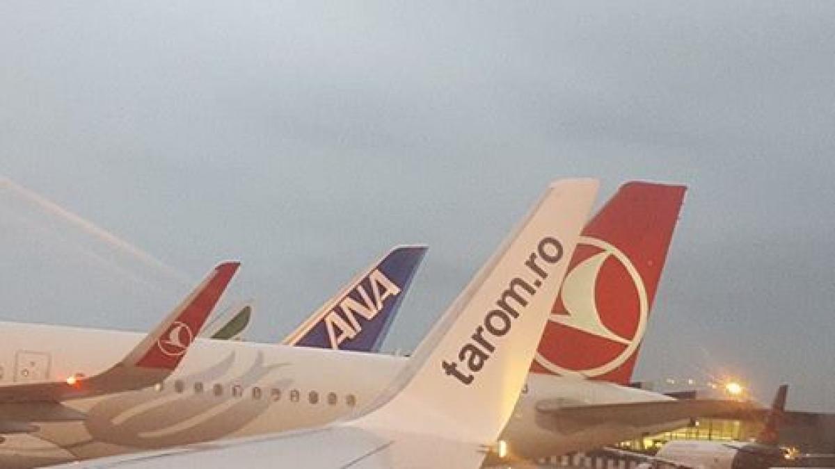 14686537_10207429360432531_1191570605_n_03848900