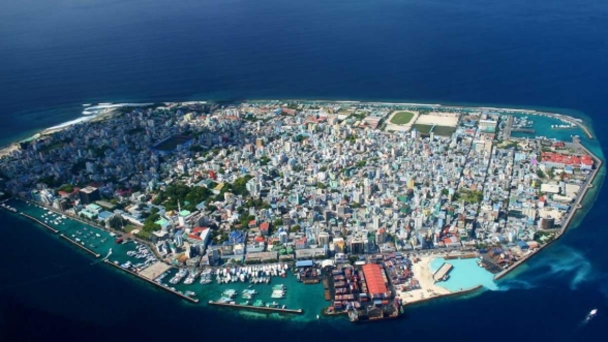 male_19627100_10231500