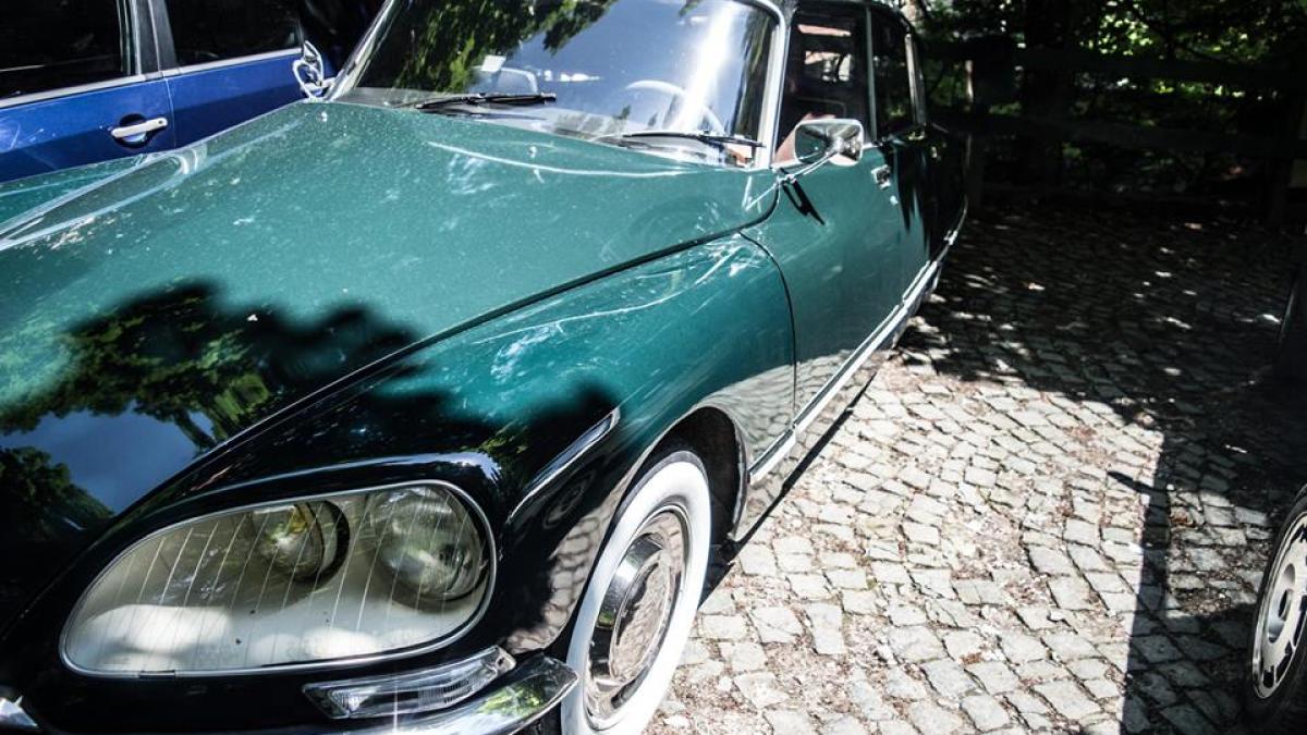 13537715_1134609246592082_3112021017301265738_n_47369300