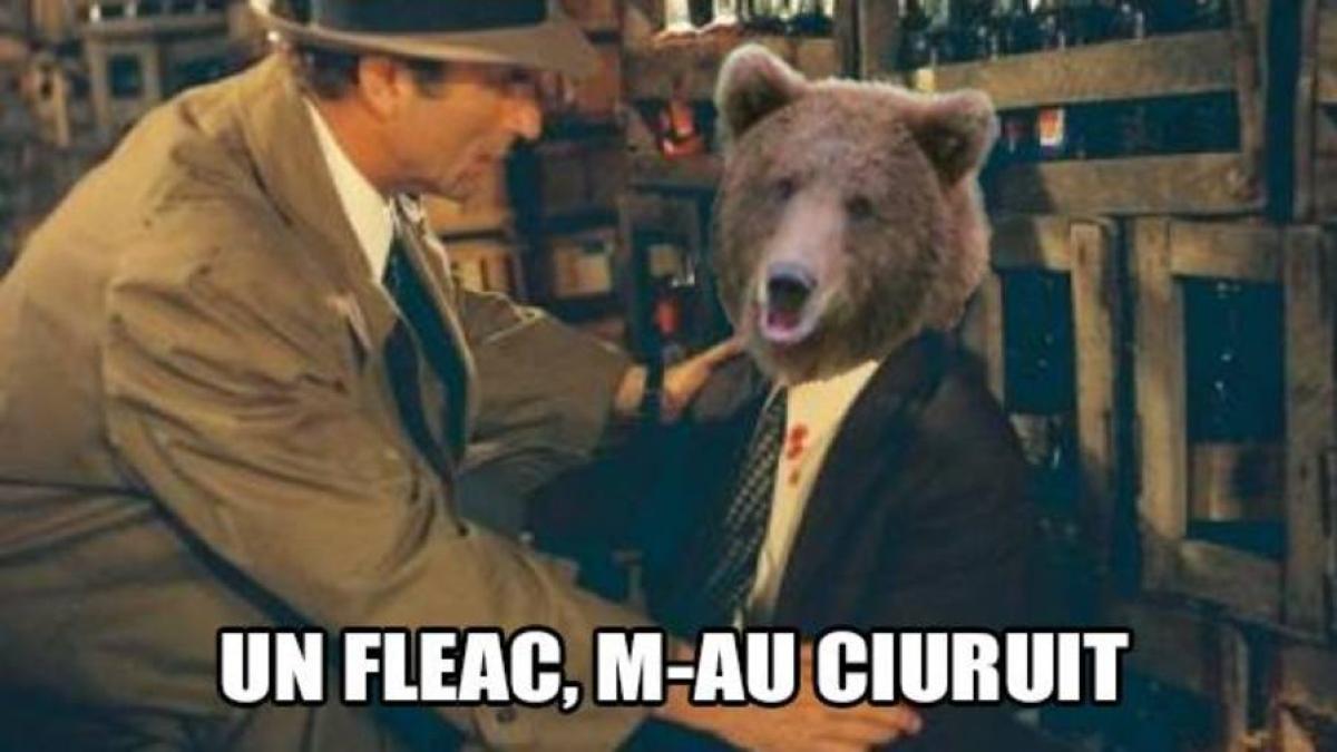 foto_autobaza_2_0_4_tb900_93990300