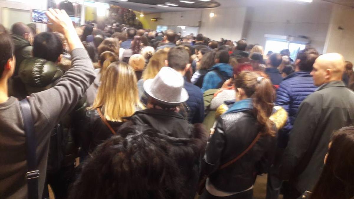 14670832_10210554994688743_5398935834150353497_n_43659600