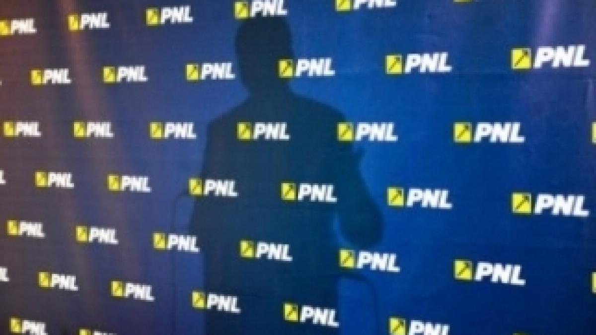 pnl_02454600_66113700_87645300_91424400