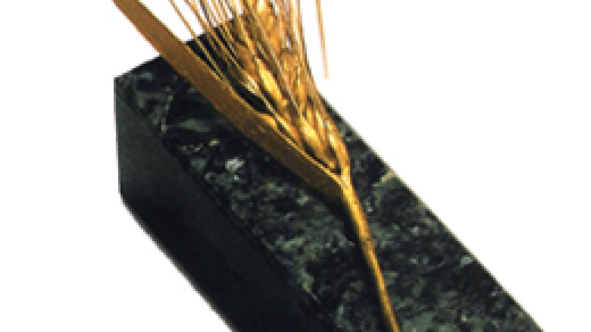 espiga_de_oro260_18590200