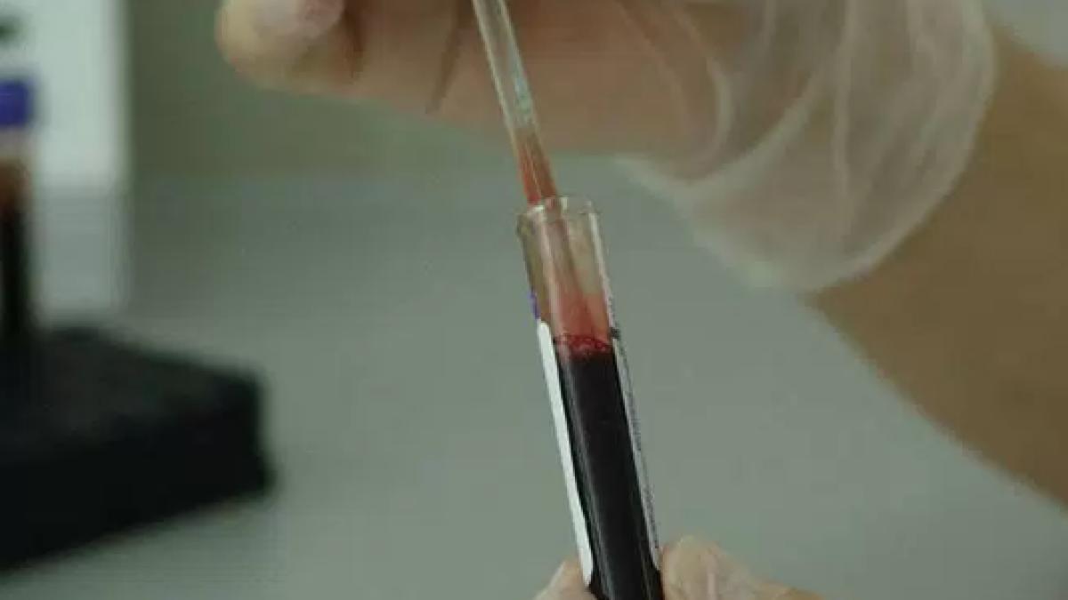 capturaprc-ccprc-86_de_ecran_din_2016_10_29_la_14_04_47_50547600