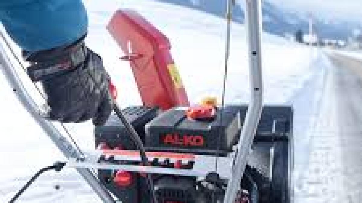 gardenpedia_54788200