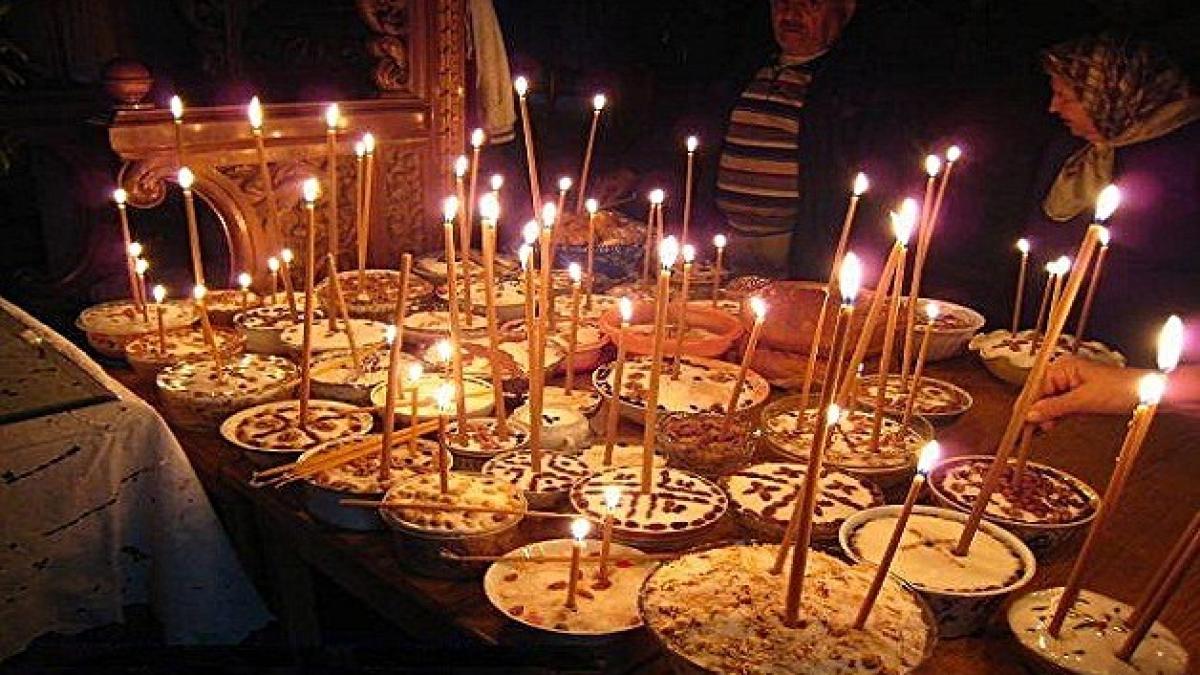 mosii_de_toamna_54020100