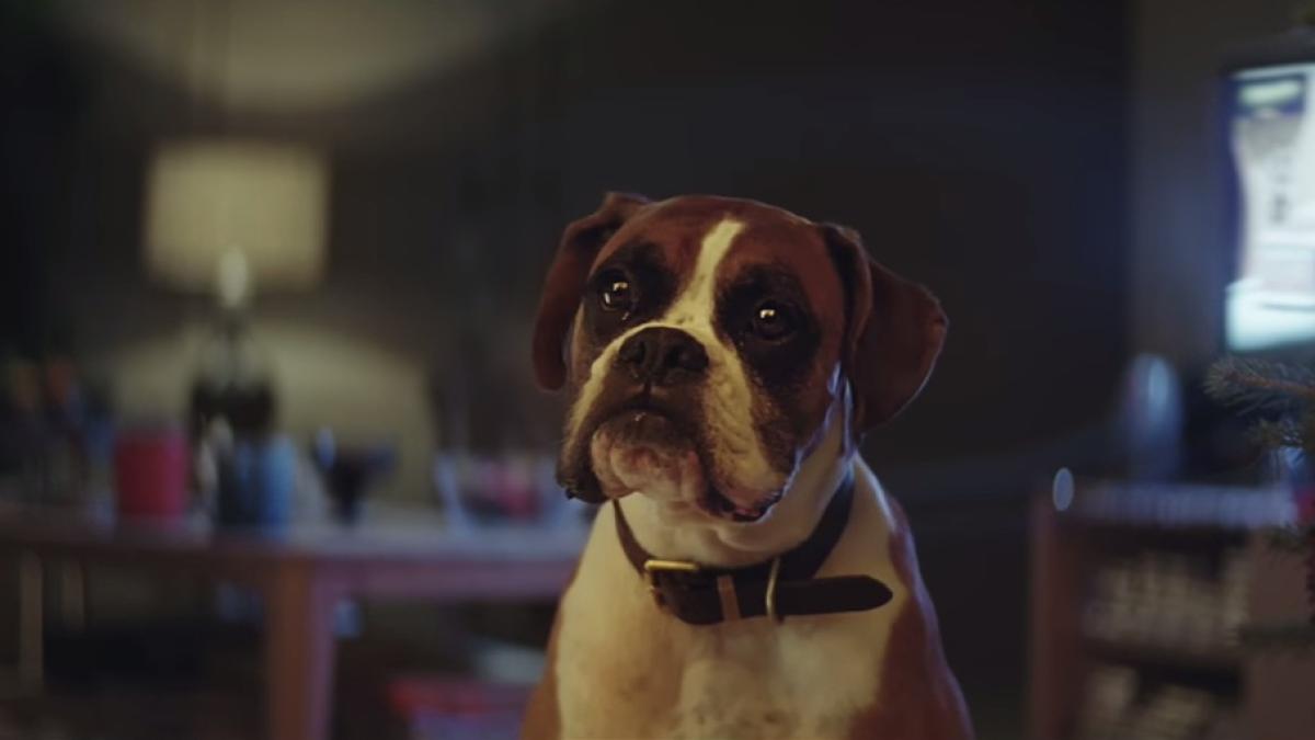 reclama minunata dedicata sarbatorilor de iarna video