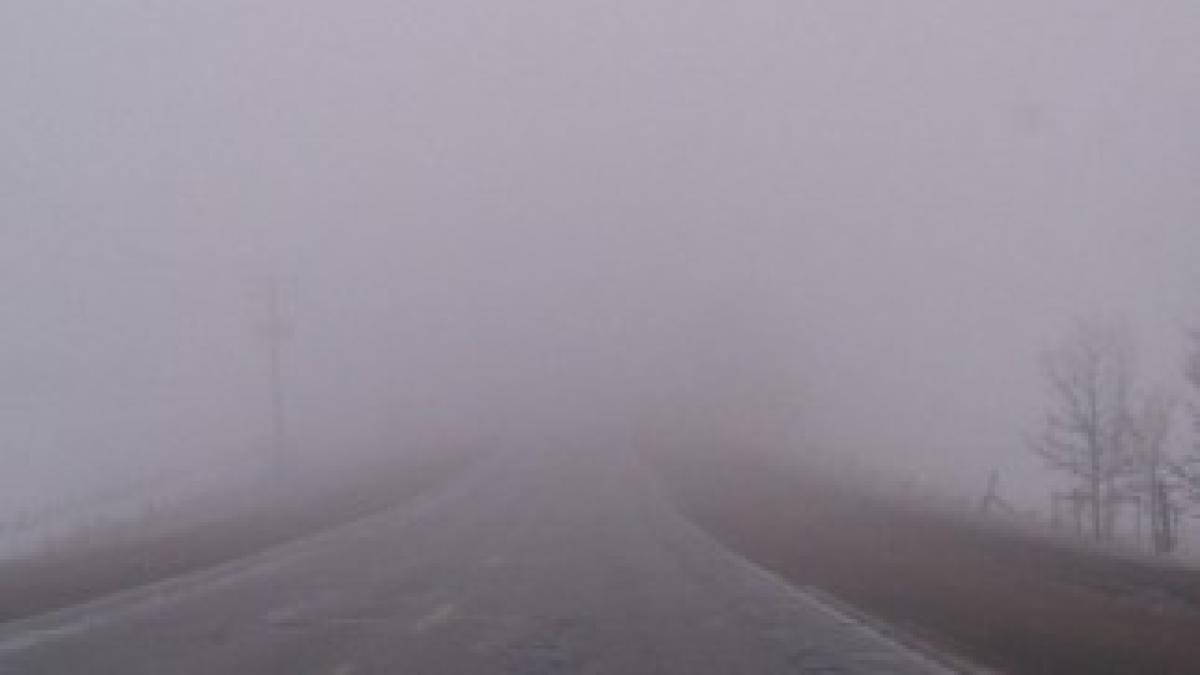 ceata_74642700_50710300_14893700