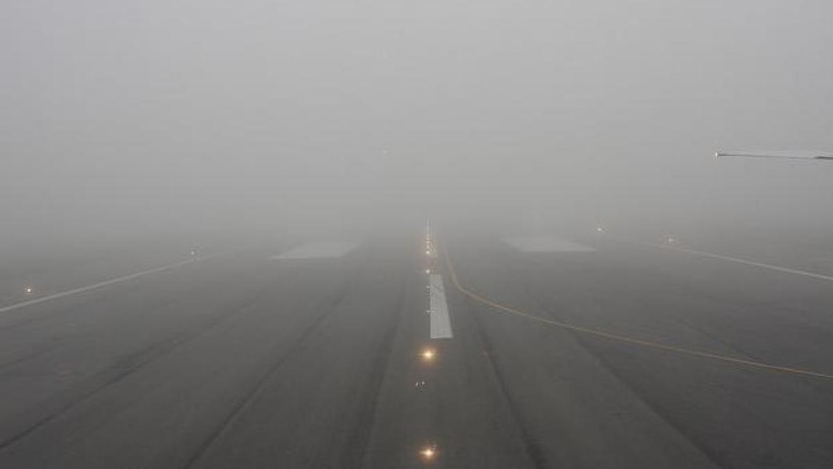 ziaruldeiasi_33523000