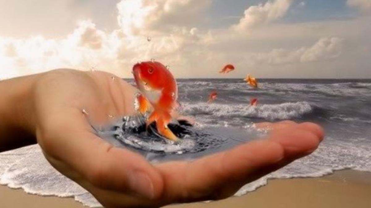 pestisor_aur_58931700