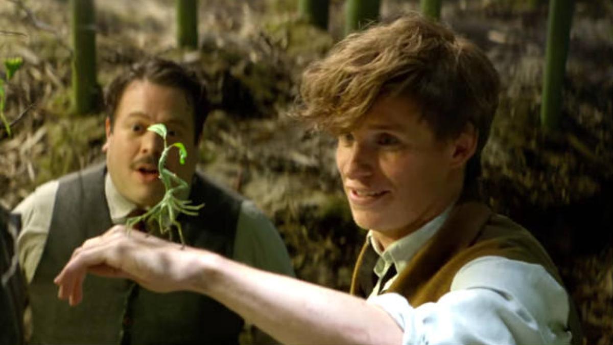 animale_fantastice_si_unde_le_poti_gasi_40547400