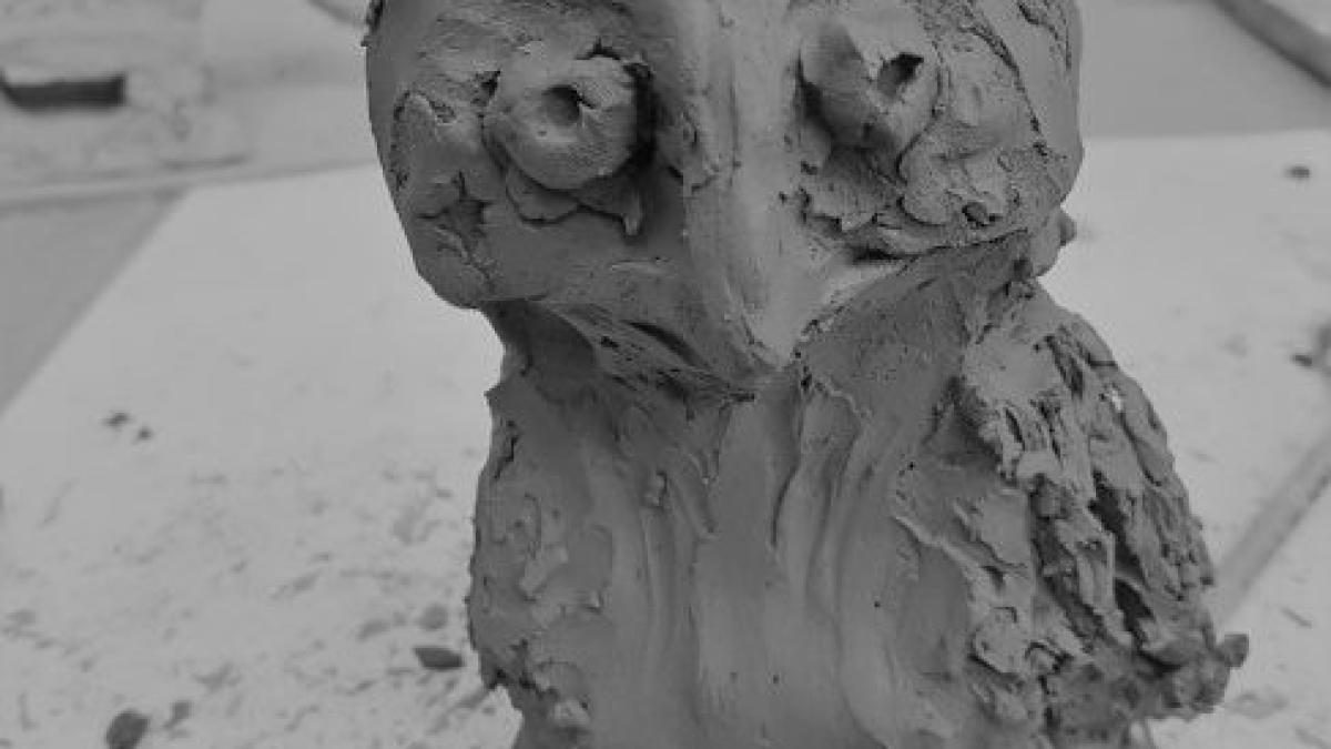 copilul_487x437_15671300