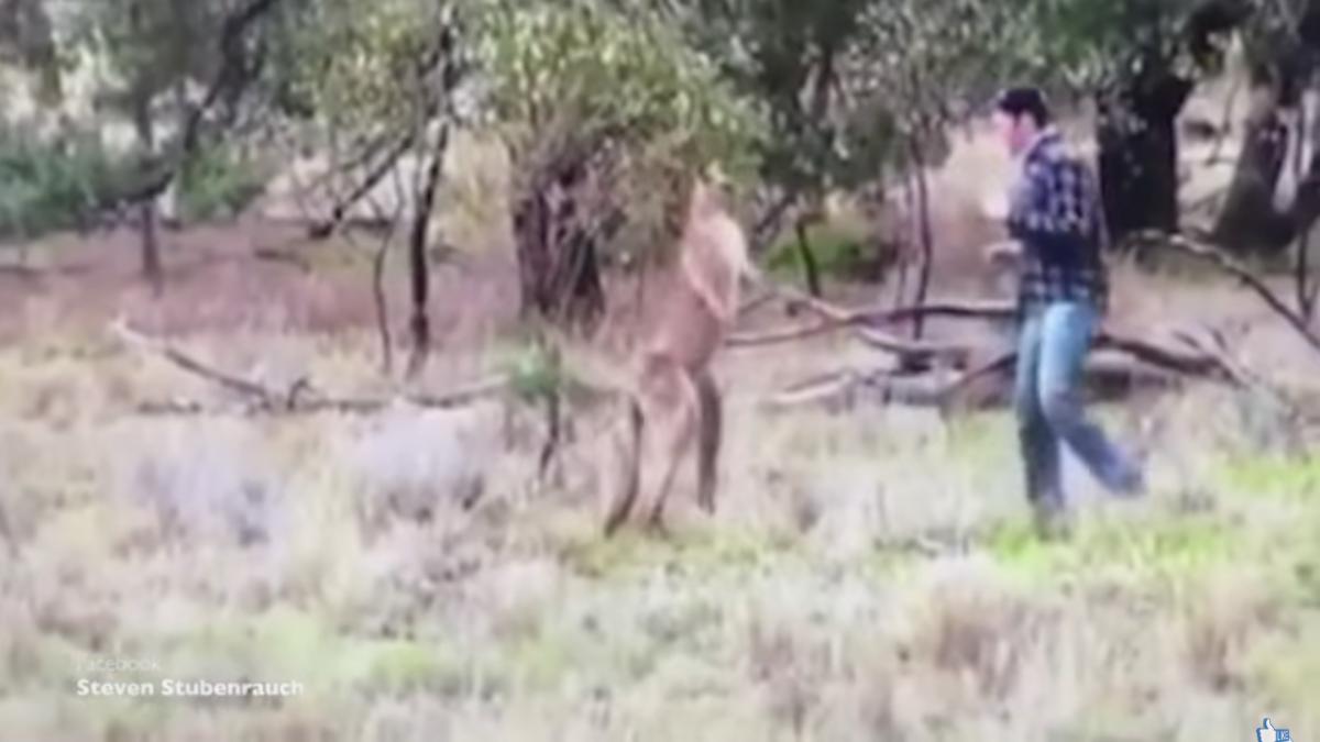 screen_shot_2016_12_04_at_09_22_18_00418700