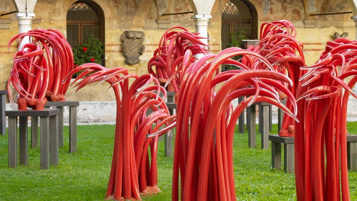 ioan_nemtoi__foc_din_cer_70354900