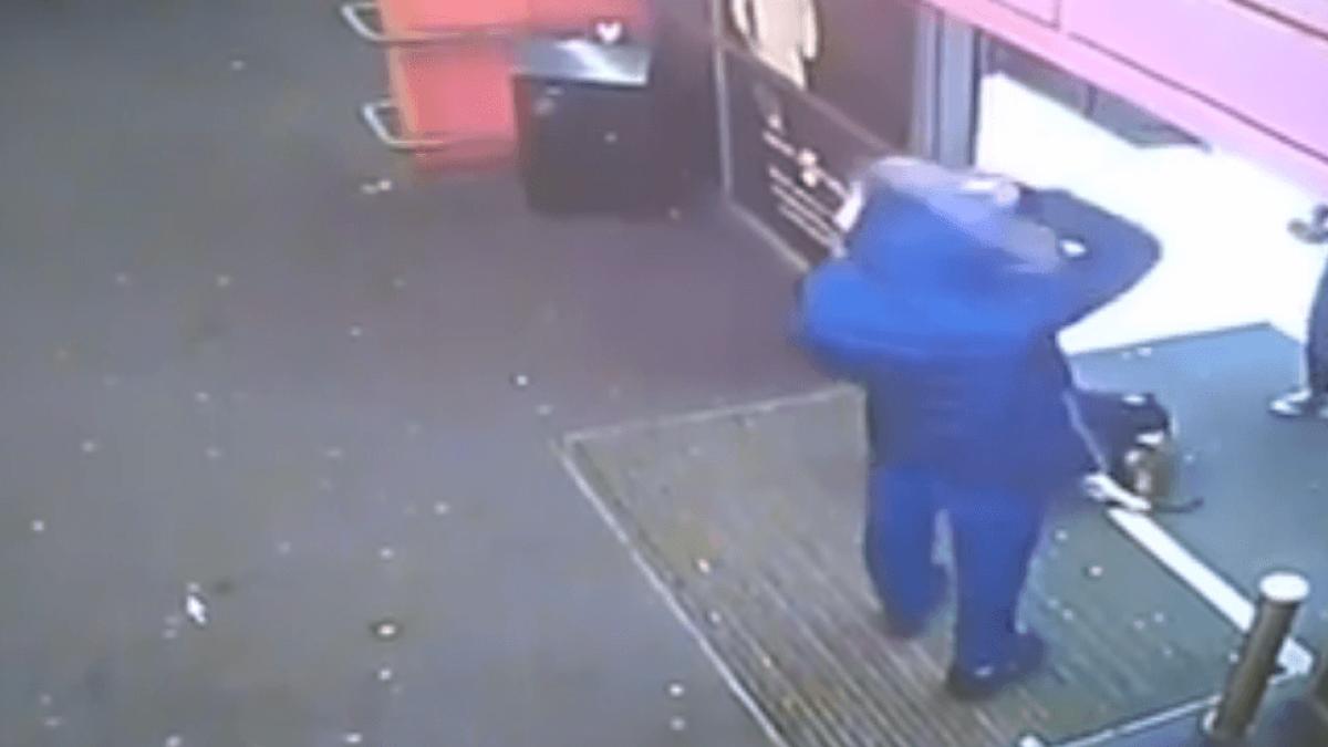 caine_pitbull_dcnews_96616900