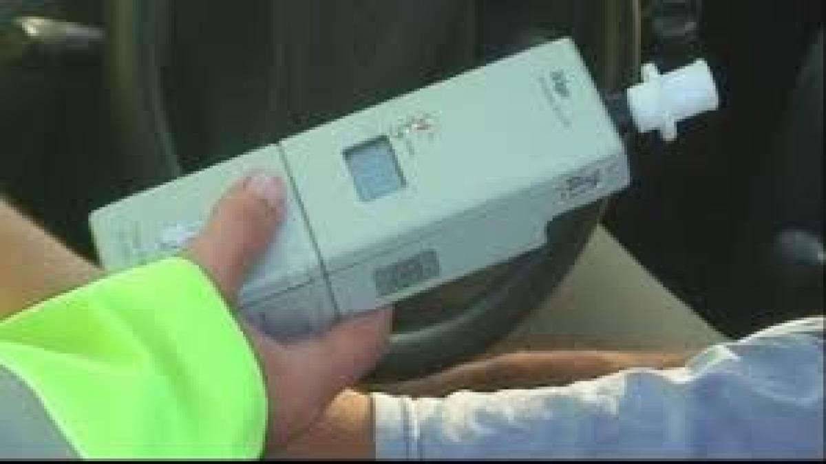 soferi_bauti_28254900