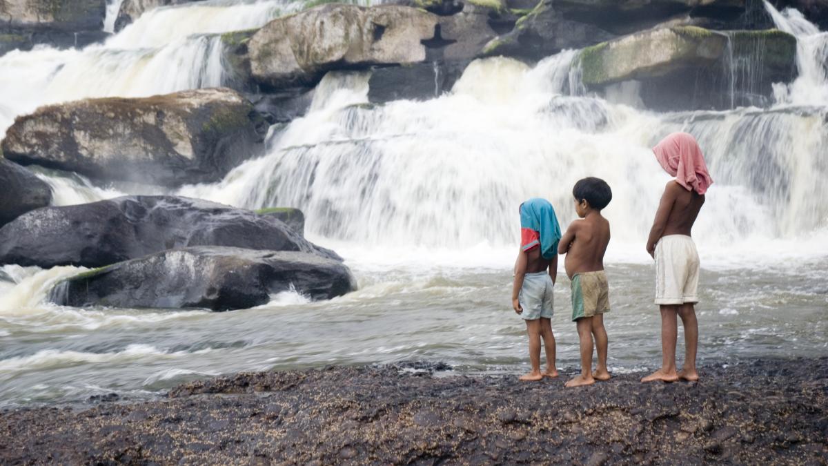 apaporis__secretos_de_la_selva_38037800