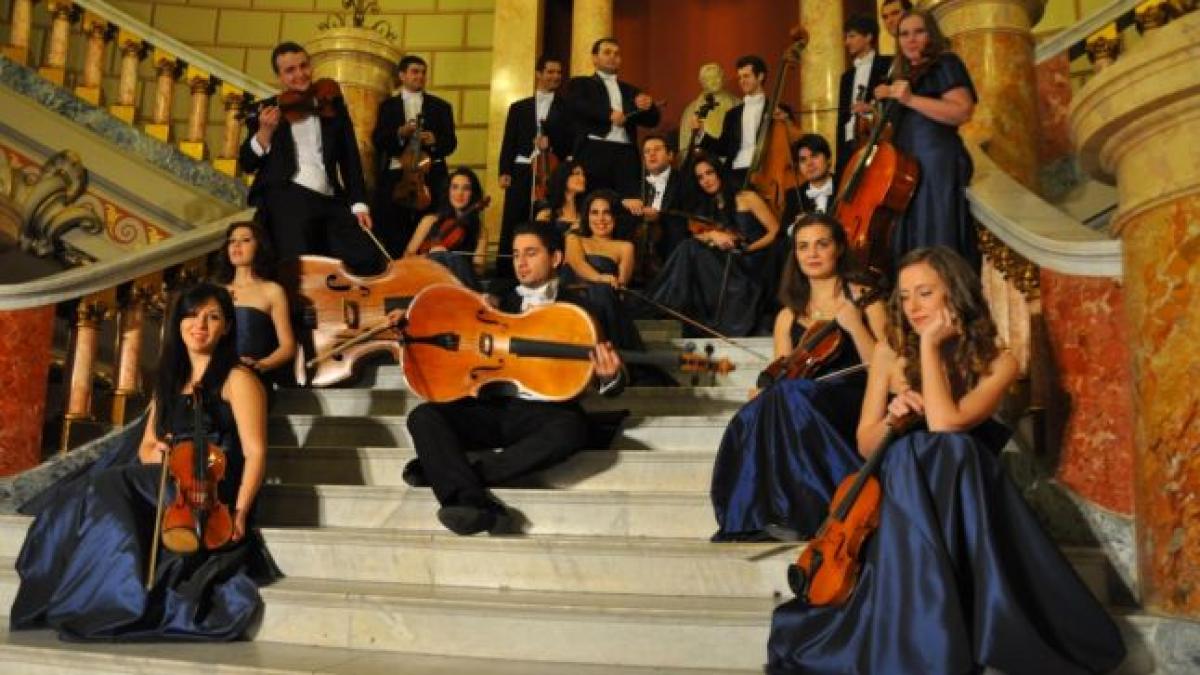 camerata_regala_84474100