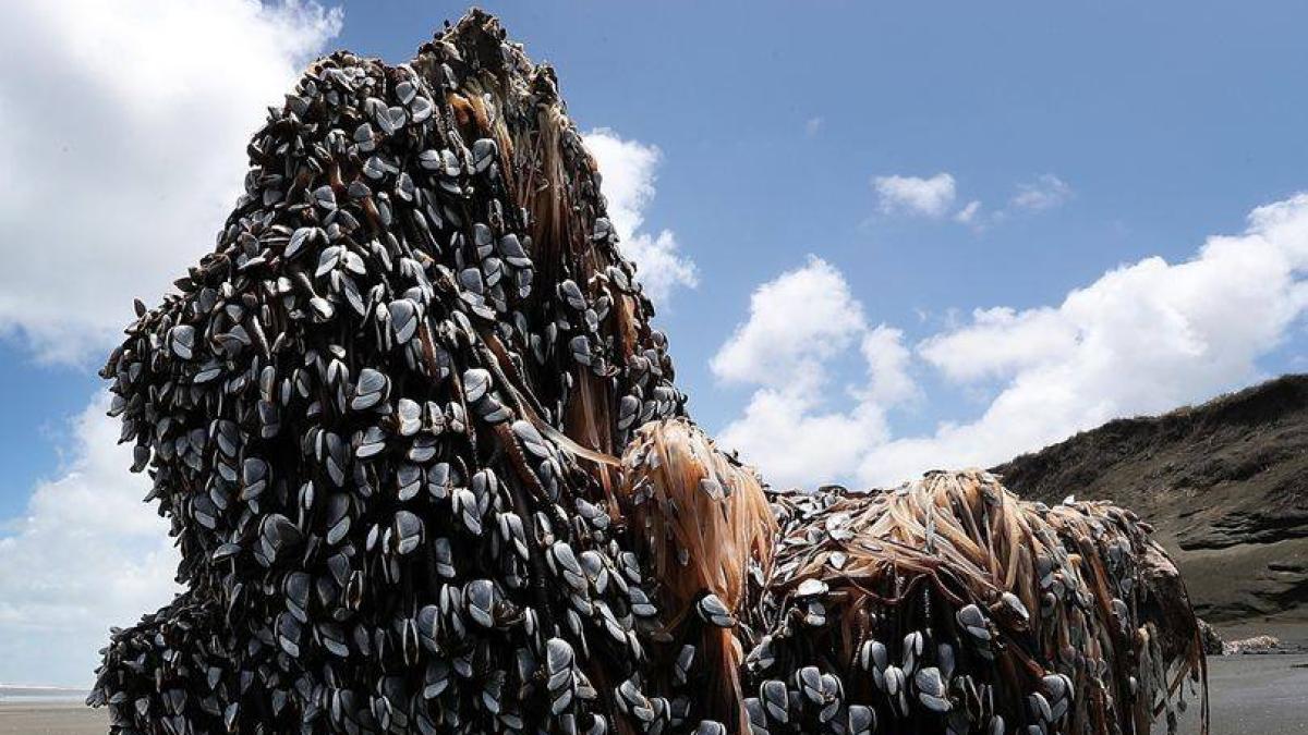 15380473_1393571230689940_7199972902560515224_n_16335900