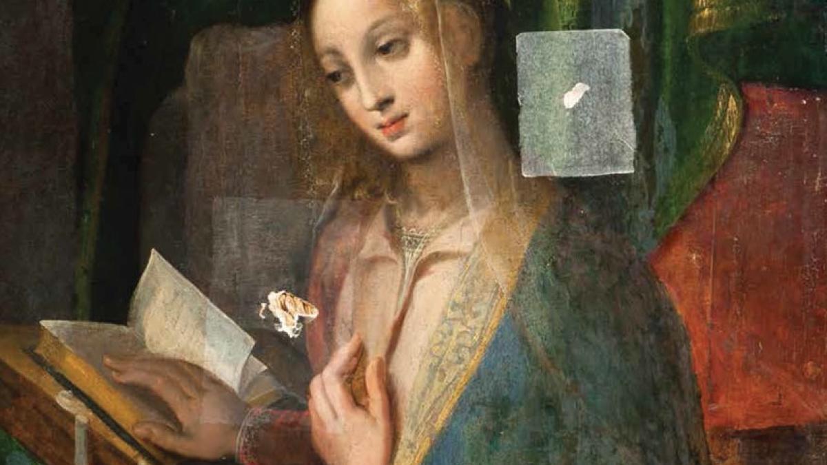 anatomia_restaurarii_95418300