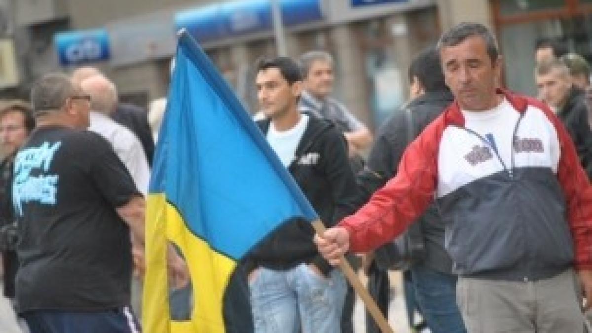 revolutionari-2-600x401