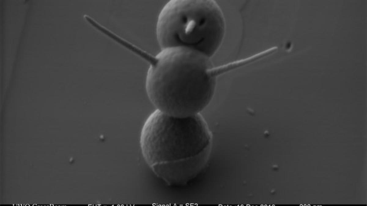 tinysnowman_43216000