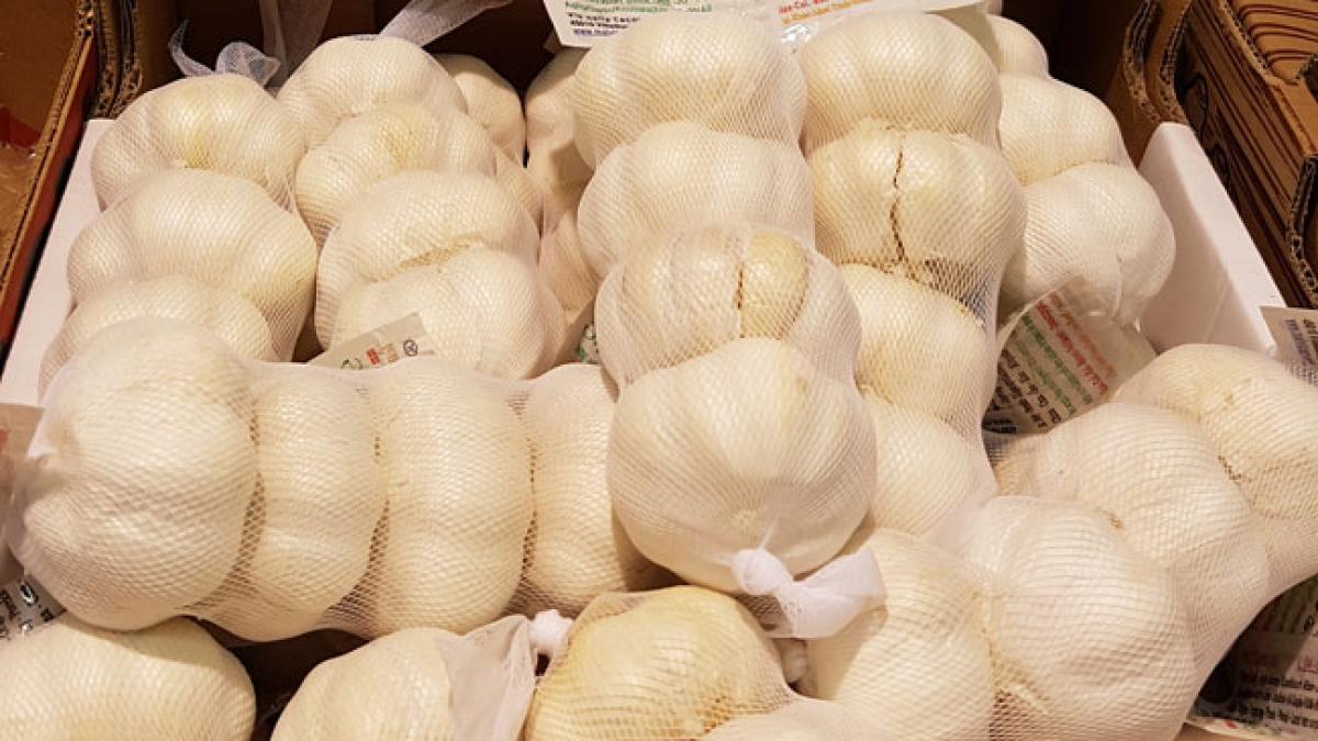 usturoi_china_37536500