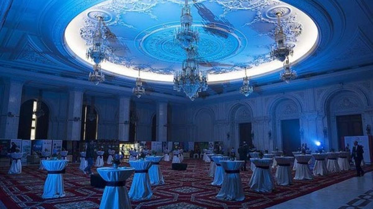 revelion 2017 la palat un cititor dcnews marele ca tigator video