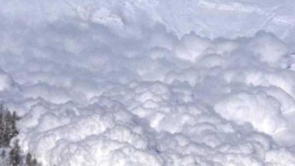 avalansa