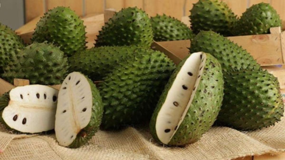 soursop_04838000