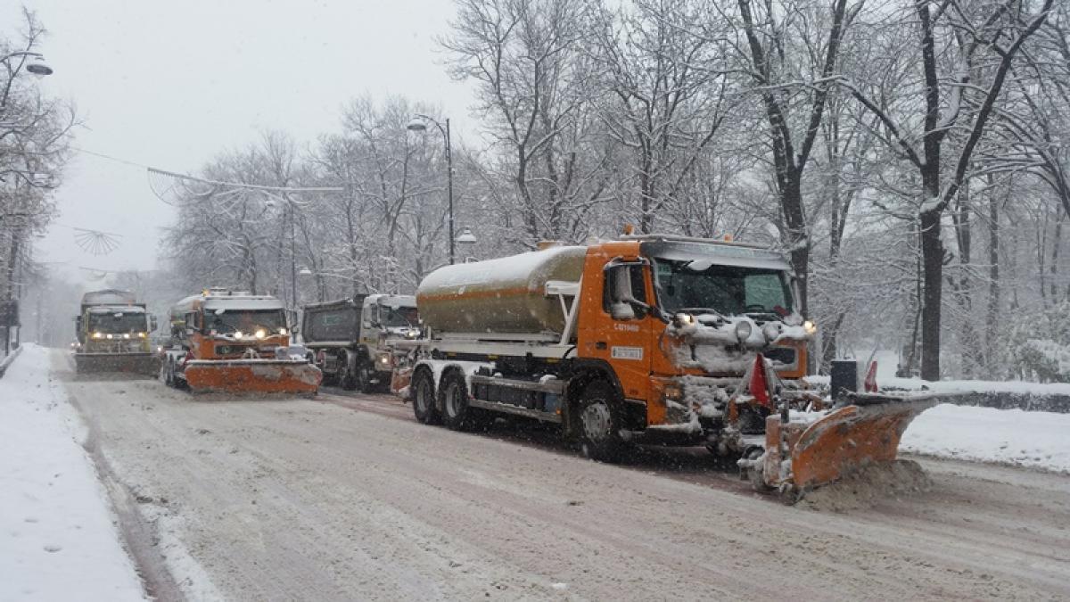 deszapezire_kiseleff_03472600