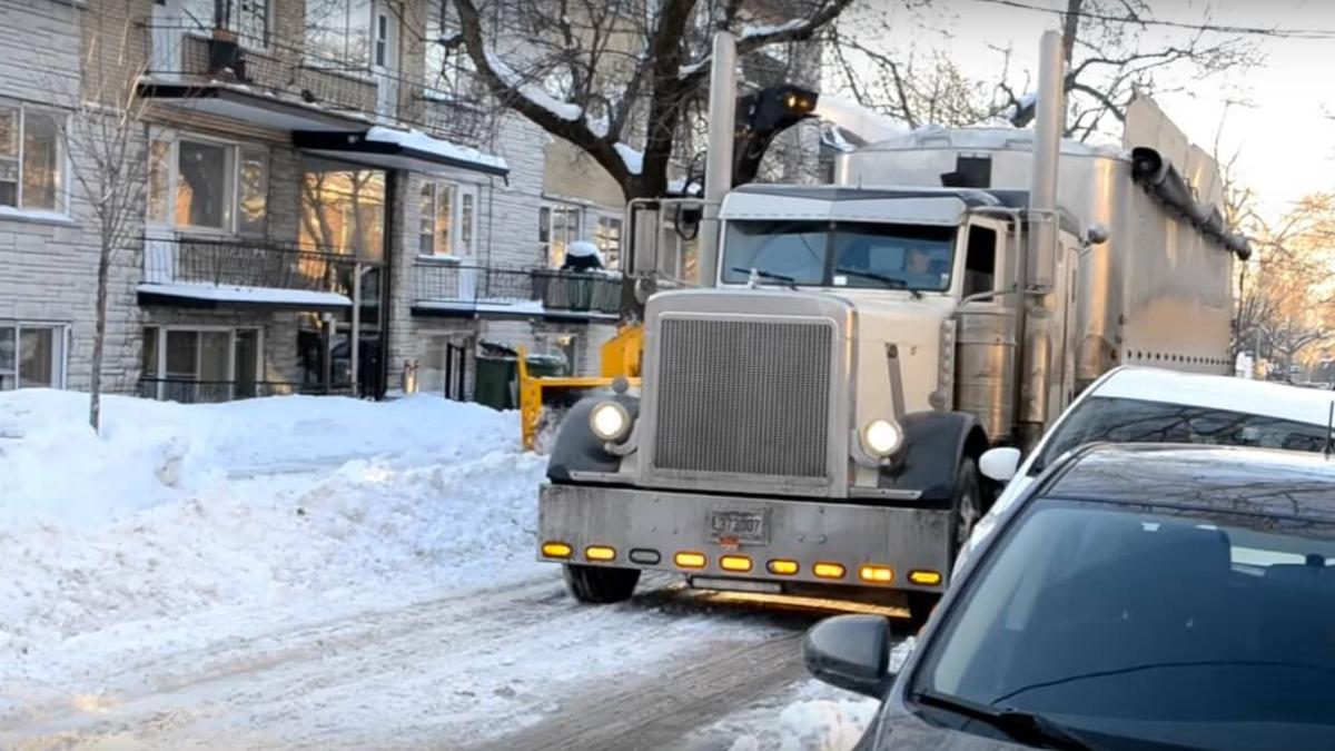 video cum se face deszapezirea in canada