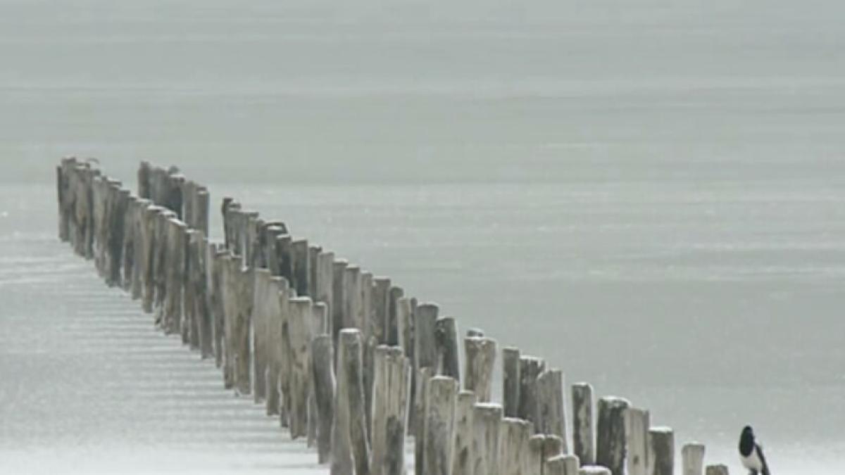 braila lacul sarat a inghetat ce spun speciali tii