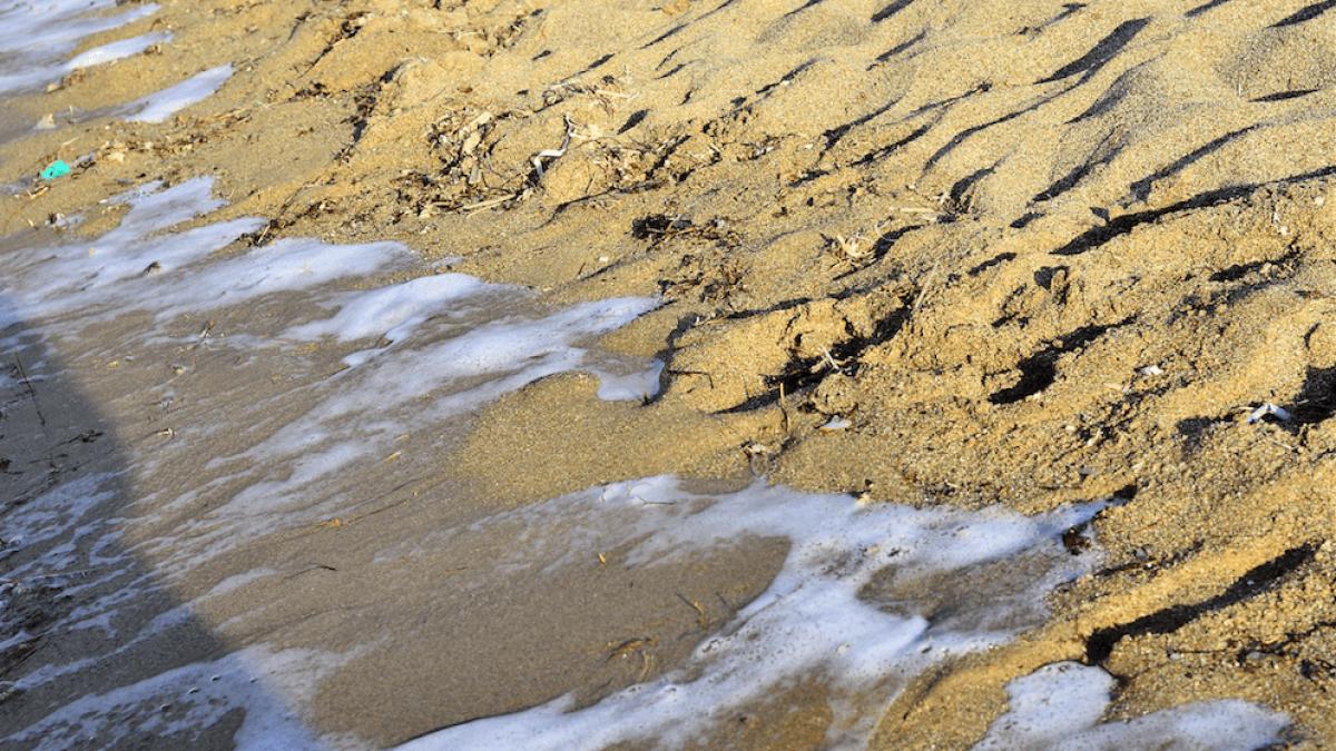 mare_dcnews_85614200