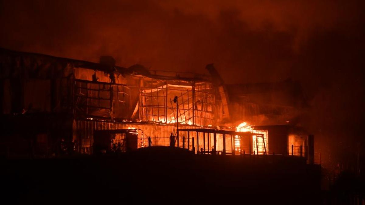 bambooincendiu_83075900