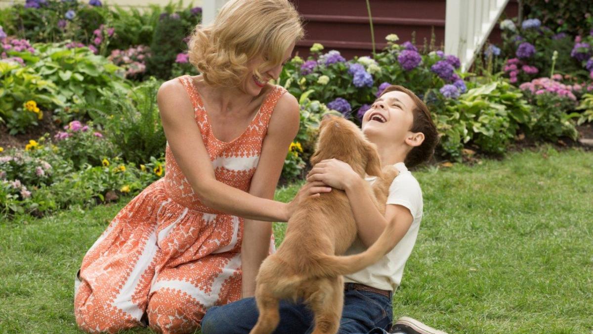 8n96_d001_10914_crop_73044500