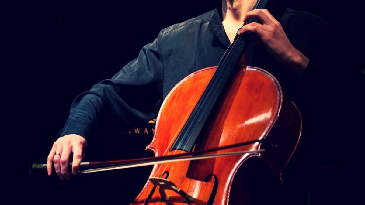 octavian_alin_lup_64122700