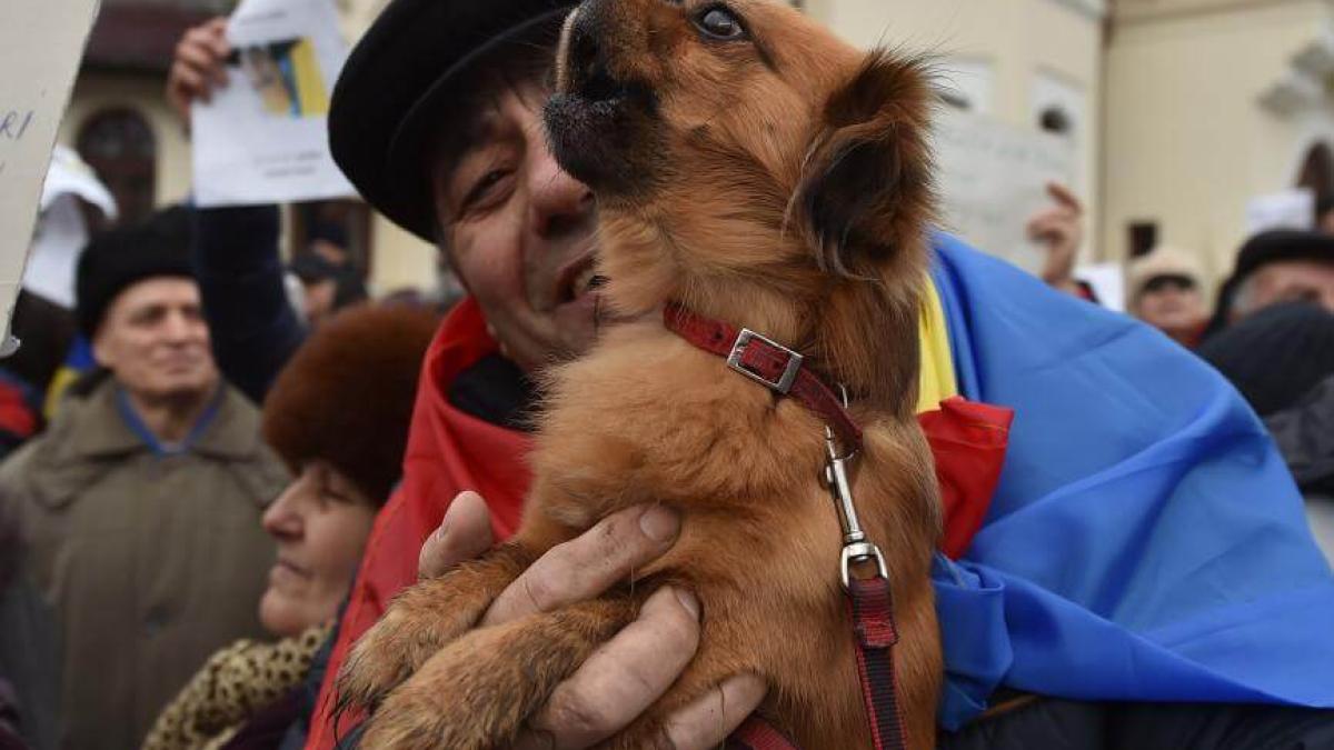 protest_cotroceni_23811200