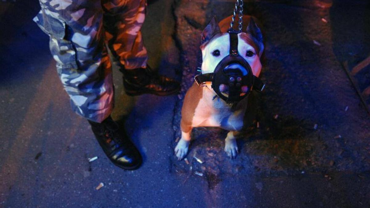 protest_caine_30954700